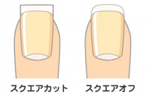 巻き爪予防 正しい爪の切り方をご存知ですか 陥入爪予防 金沢市アルコット接骨院 インソール工房併設