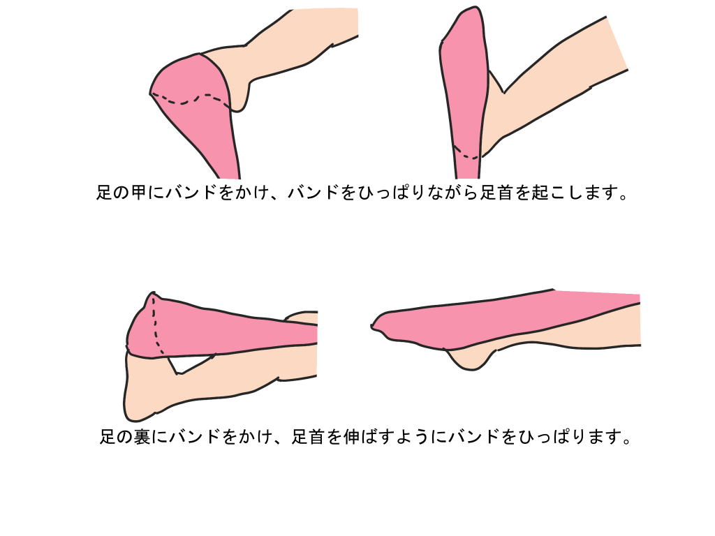 変形性足関節症 セラバンドを使ったトレーニング方法