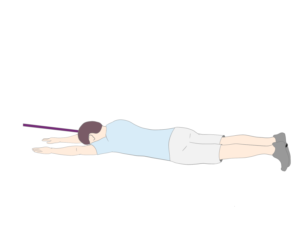 Rolling Upper Body with Lower Body FMT Facilitation
