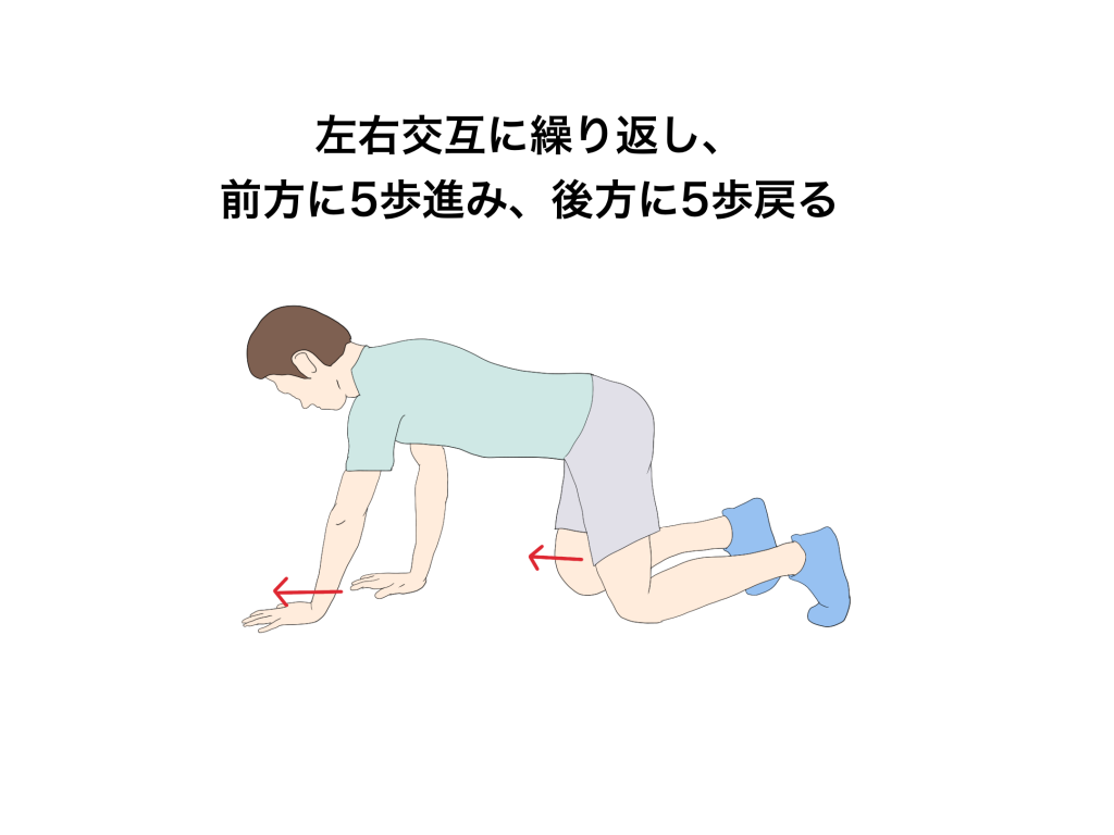 ベアクロール動き方