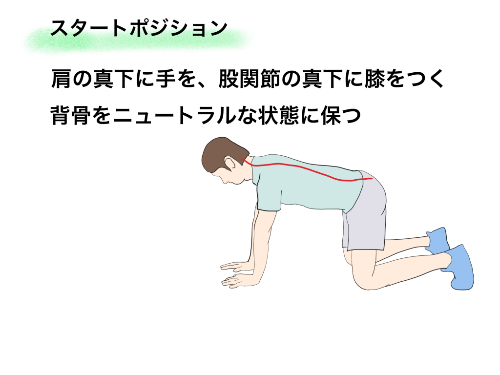 ベアクロールのスタートポジション