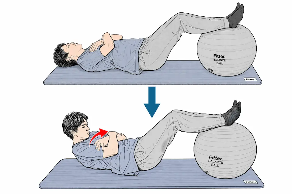 サークル１A　体幹安定性エクササイズ① 腹筋運動レベル２