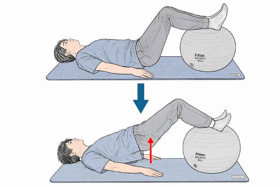 サークル１B　体幹安定性エクササイズ② 骨盤リフトレベル１ (1)