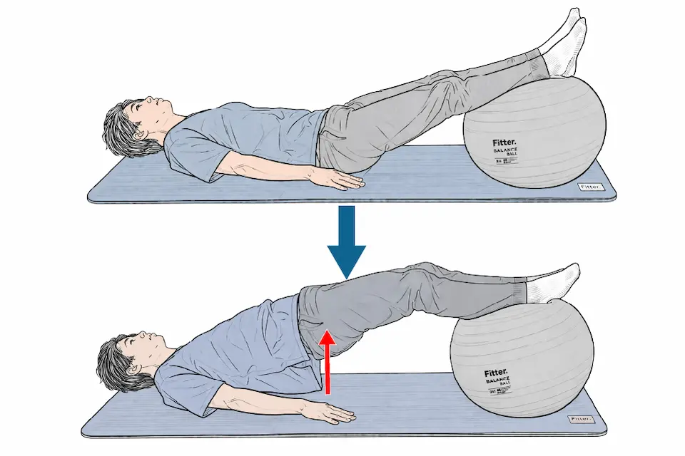 サークル１B　体幹安定性エクササイズ② 骨盤リフトレベル２