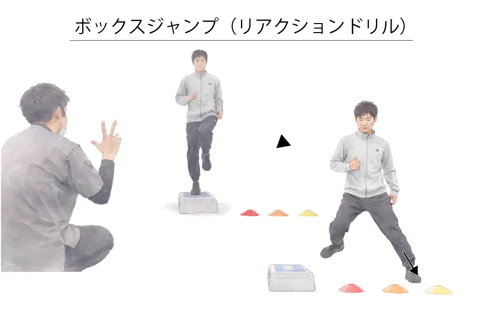 ボックスジャンプ（リアクションドリル）