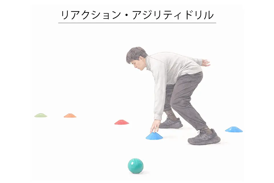 リアクション・アジリティドリル