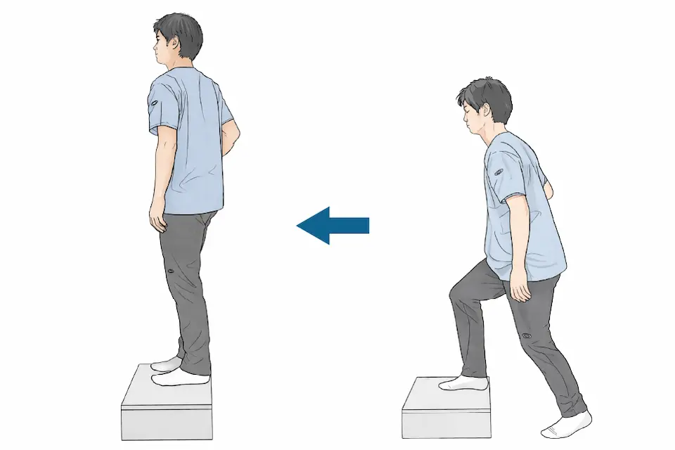 変形性膝関節症（サークル４B　日常生活エクササイズ② 階段昇降）レベル１