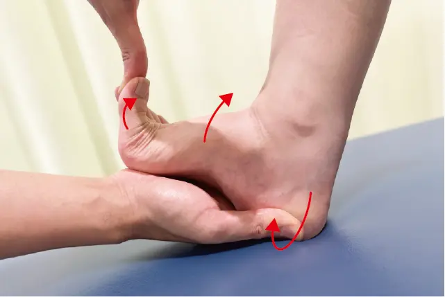 dorsiflexion-eversion test