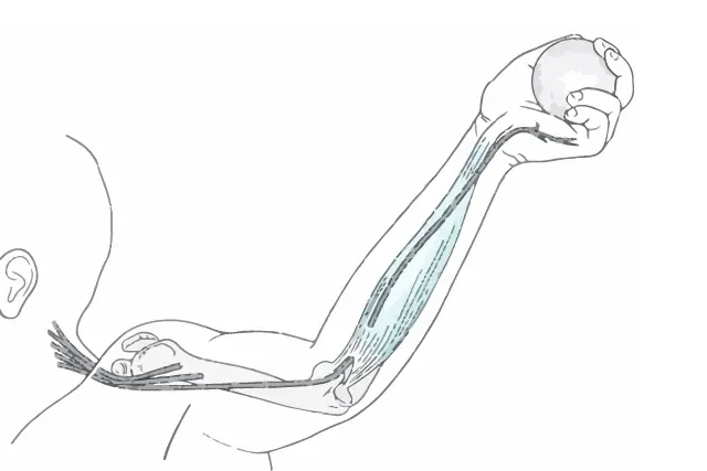 肘部管症候群の原因動作