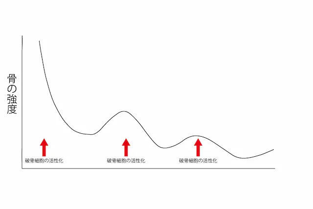 疲労骨折のメカニズム