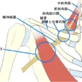 胸郭出口症候群の原因や治療法【金沢市アルコット接骨院】