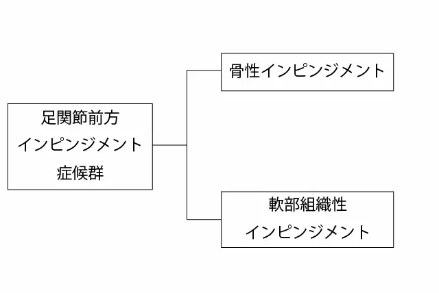 足関節後方インピンジメント症候群