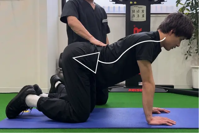 ドッグストレッチ
