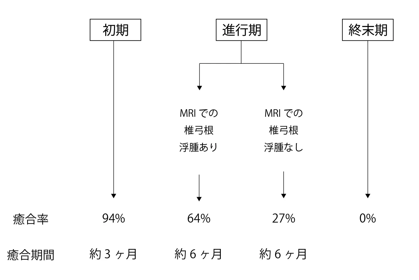 分離症の癒合率