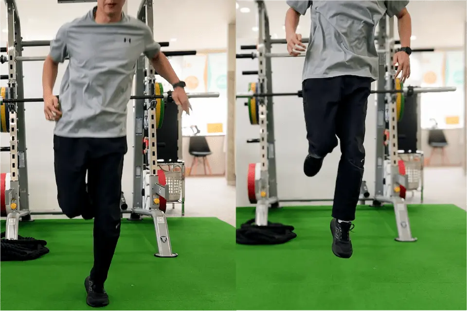 Hops