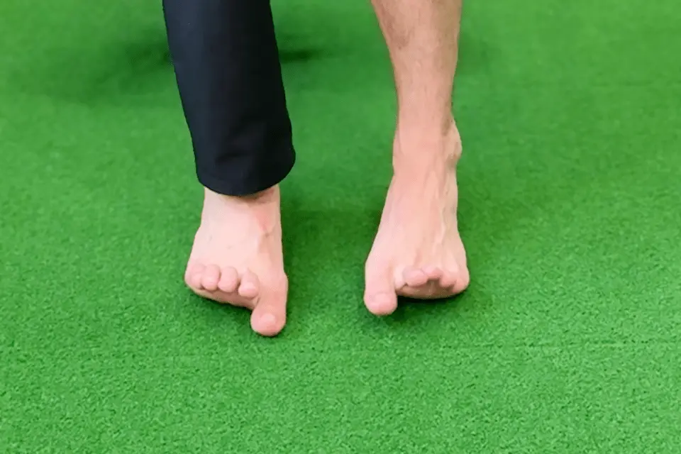 足部内在筋２
