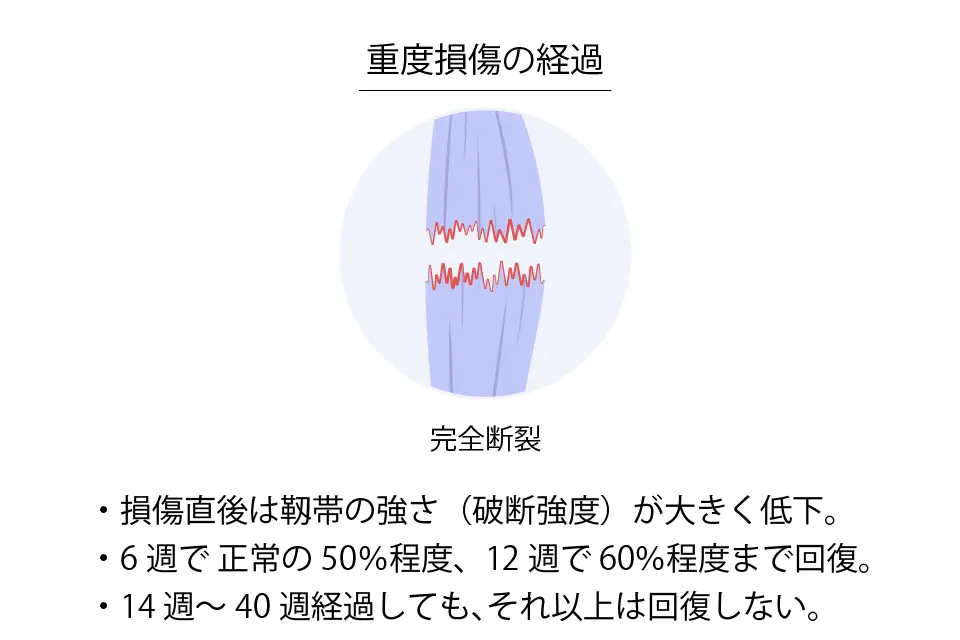 重度の靭帯損傷の経過