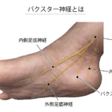 治らない踵の痛みは神経が原因？バクスター神経障害の原因や治療・テーピングなど