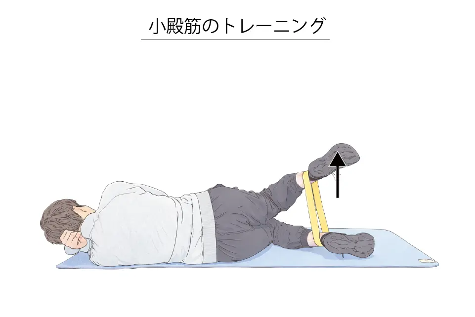 小殿筋のトレーニング