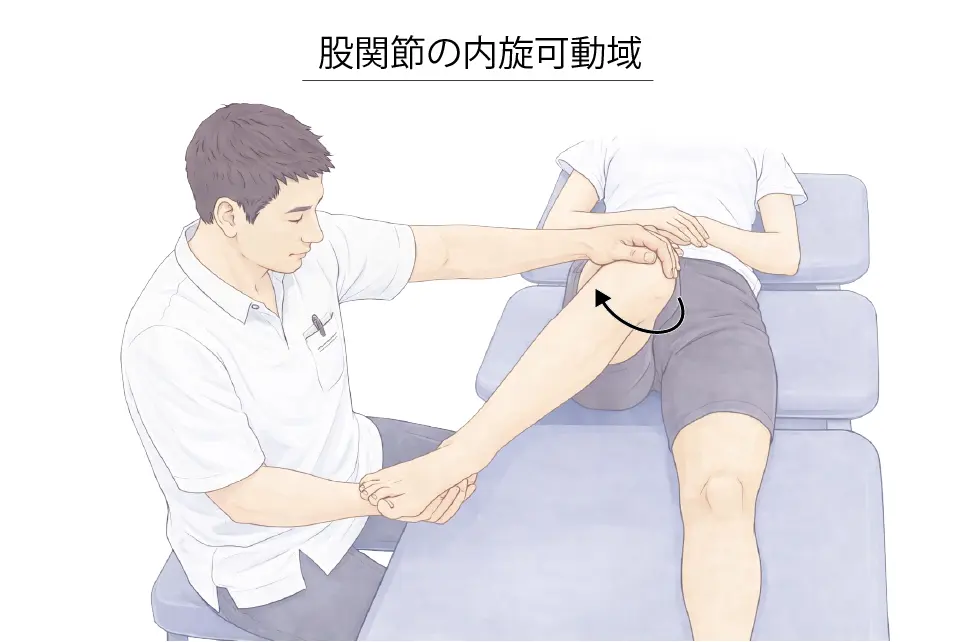 股関節の内旋可動域