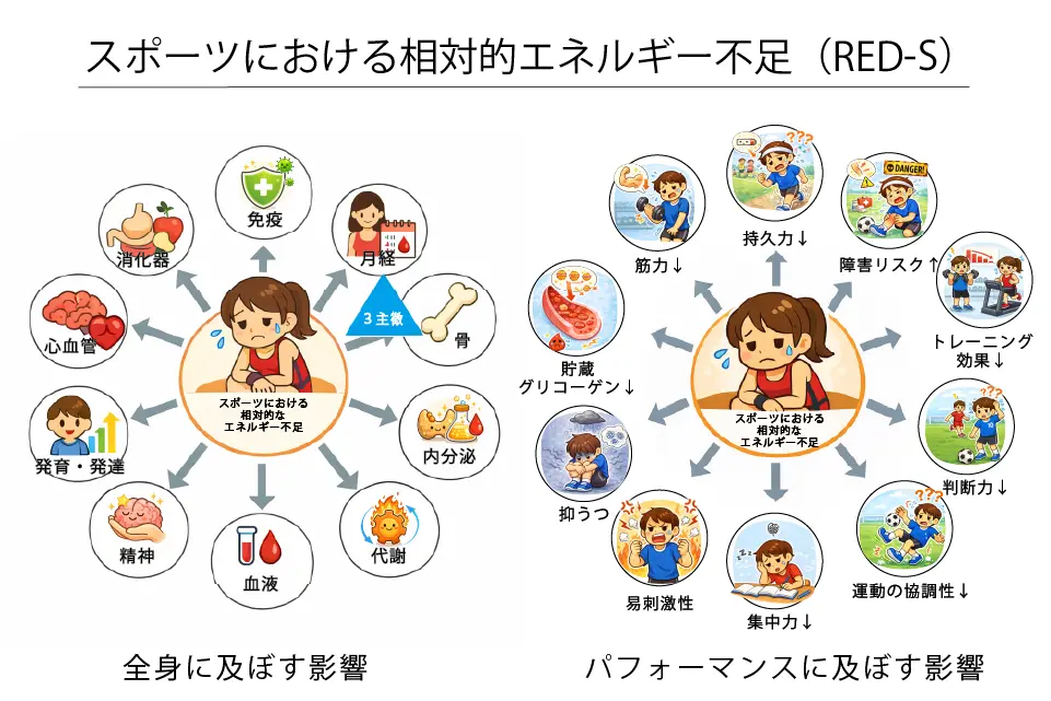 スポーツにおける相対的エネルギー不足（ RED-S)