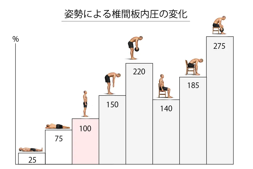 姿勢による椎間板内圧の変化