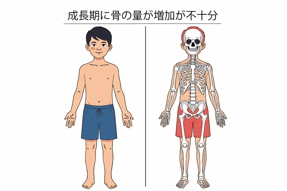 成長期に骨の量が増加が不十分