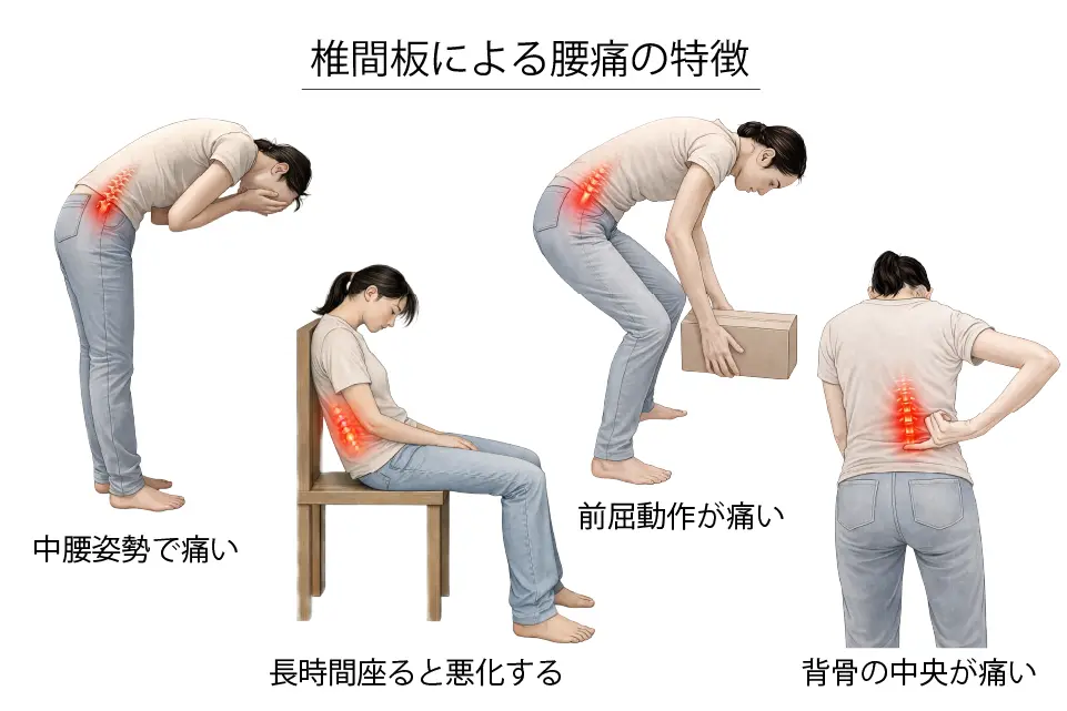 椎間板による腰痛の特徴