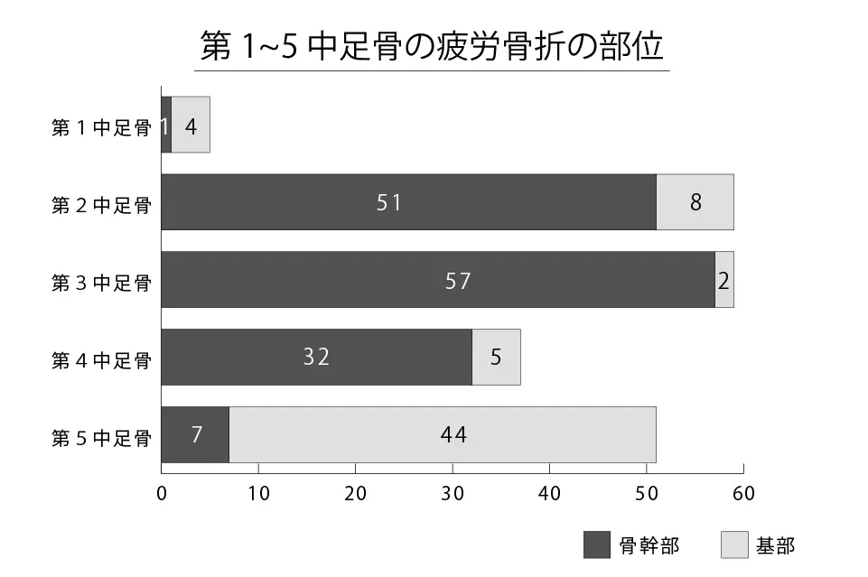 第1~5 中足骨の疲労骨折の部位