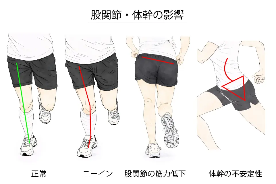 股関節・体幹の影響