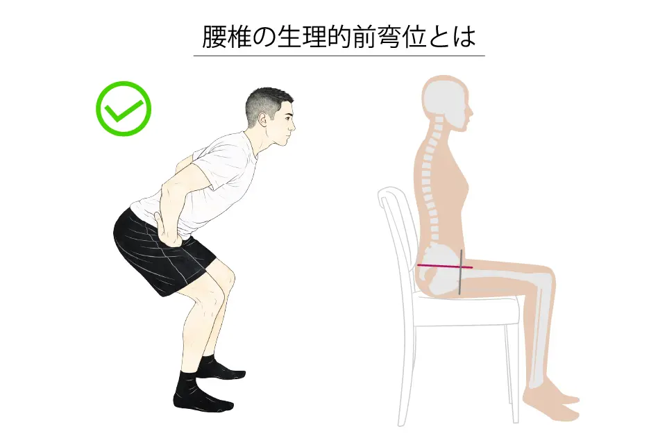 腰椎の生理的前弯位とは