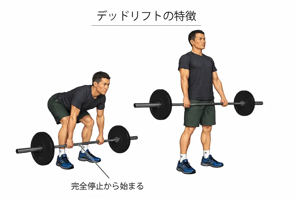 デッドリフトの特徴