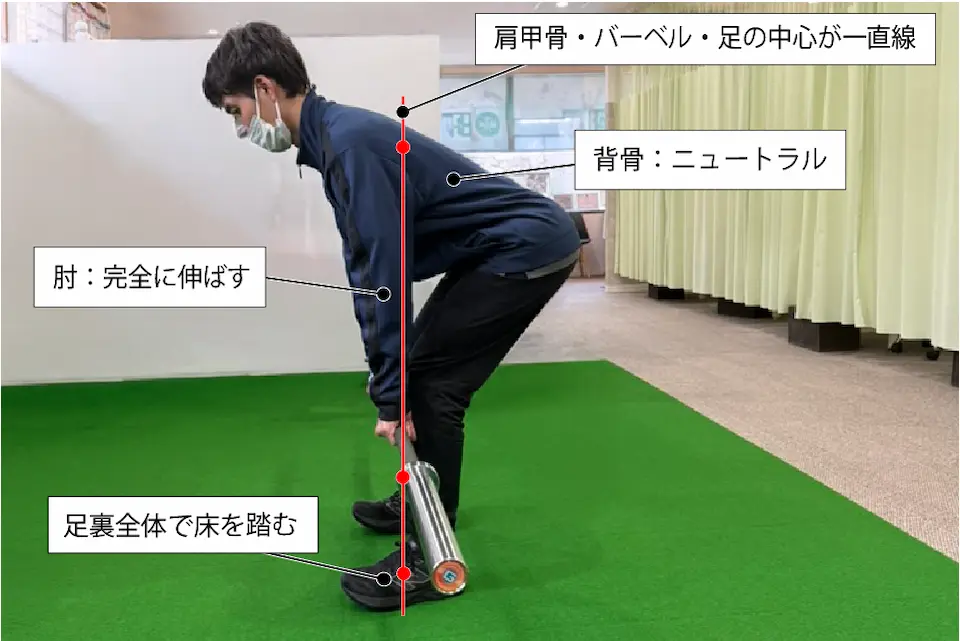 デッドリフトの開始肢位（引き始め）