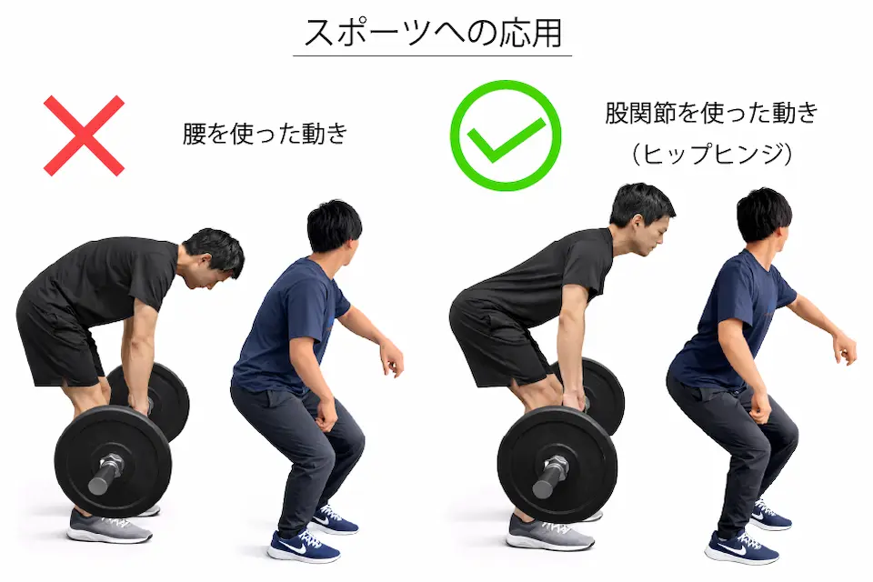 デッドリフト（スポーツへの応用）