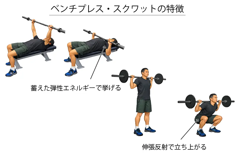 ベンチプレス・スクワットの特徴