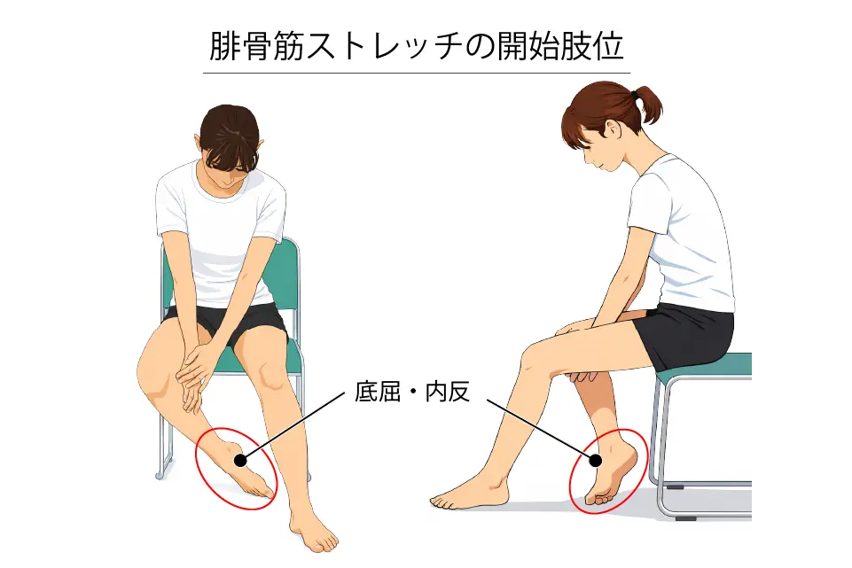 腓骨筋ストレッチ開始肢位