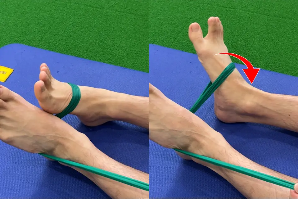 腓骨筋腱リハビリ①