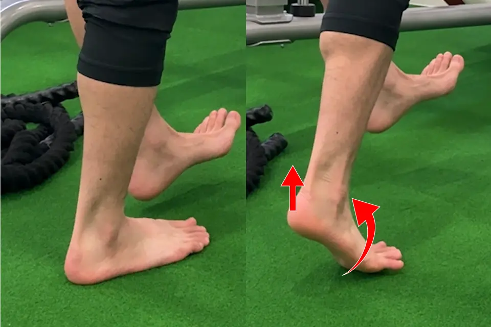 腓骨筋腱リハビリ⑥