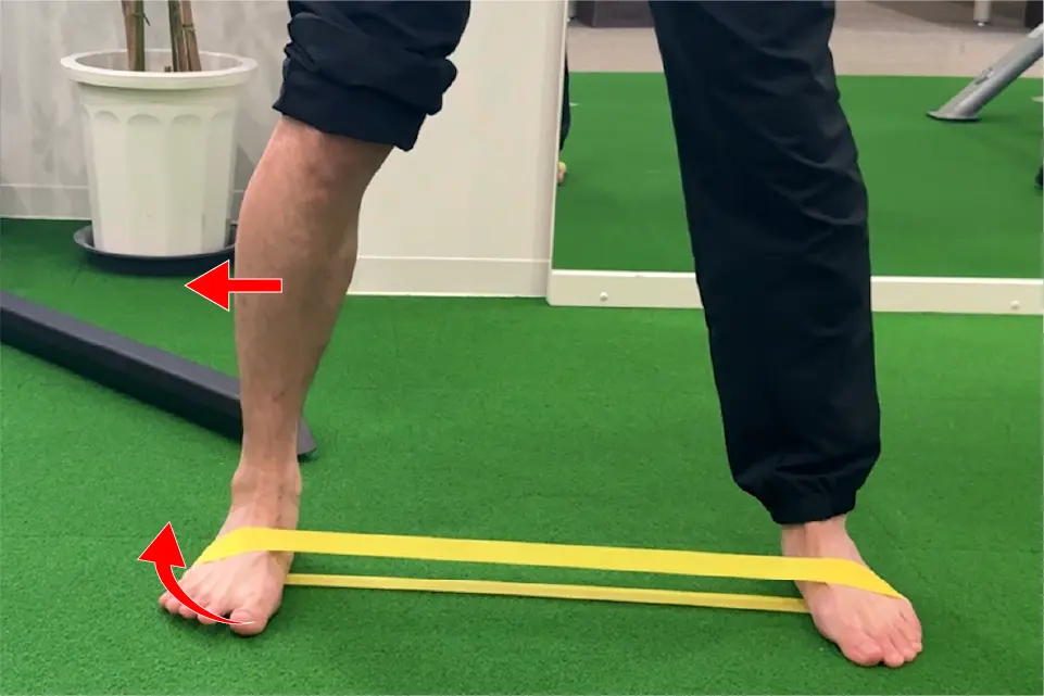 腓骨筋腱リハビリ⑩