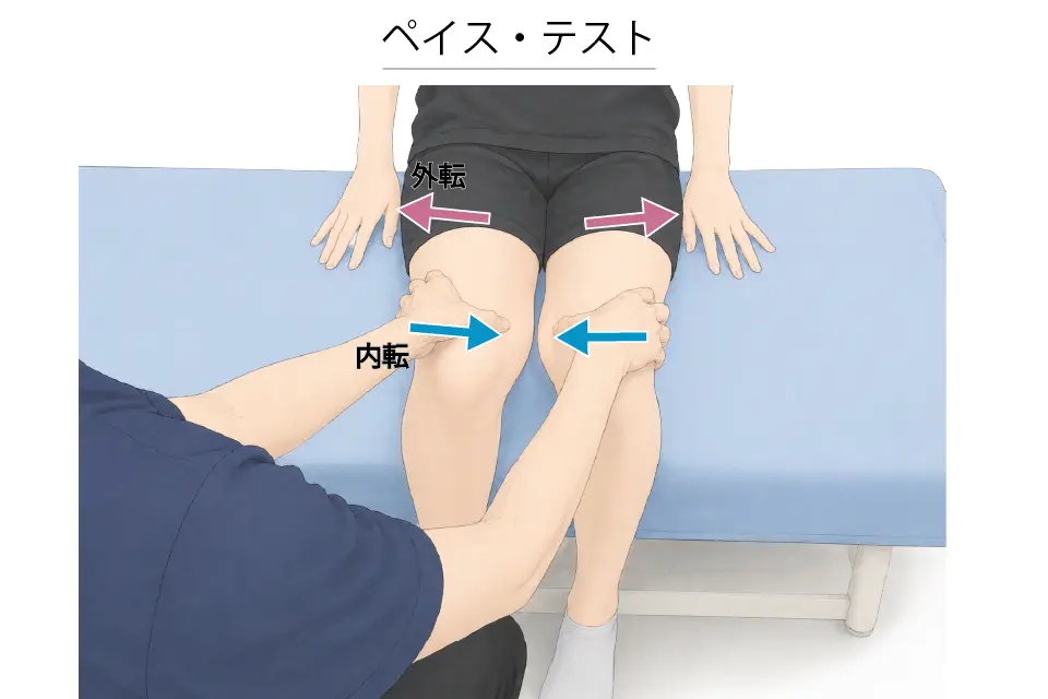 ペイステスト