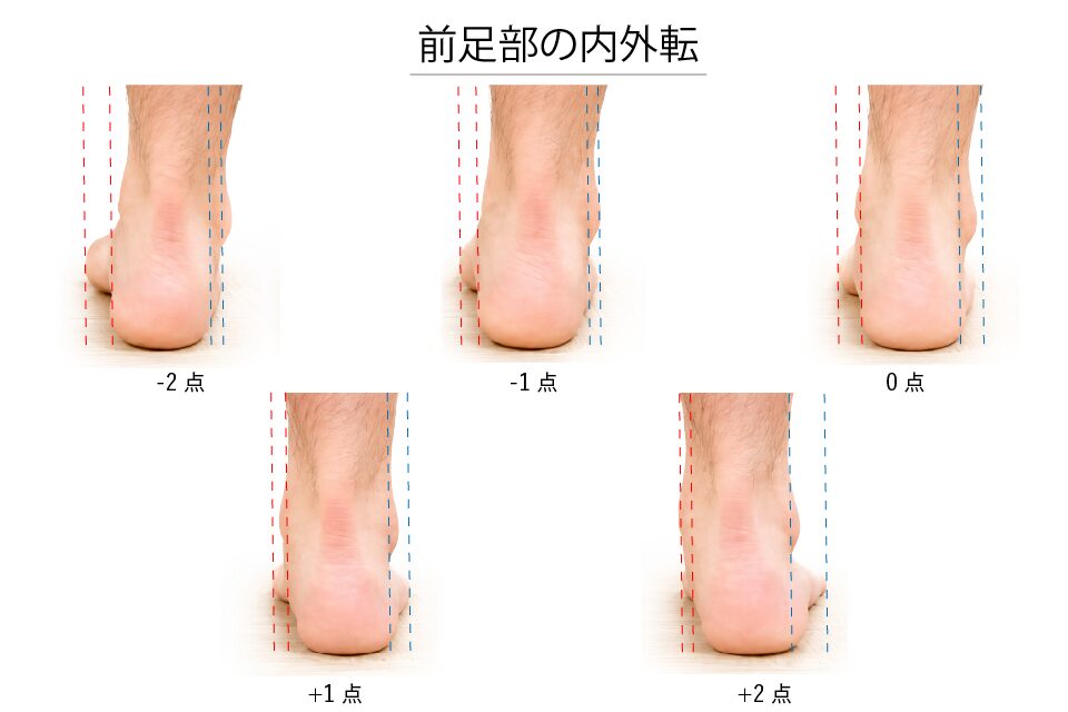 前足部の内外転