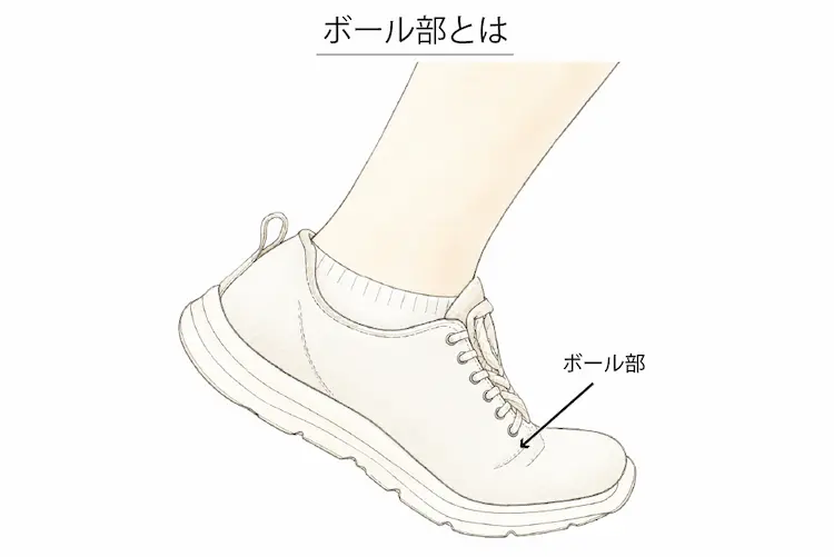 ボール部とは
