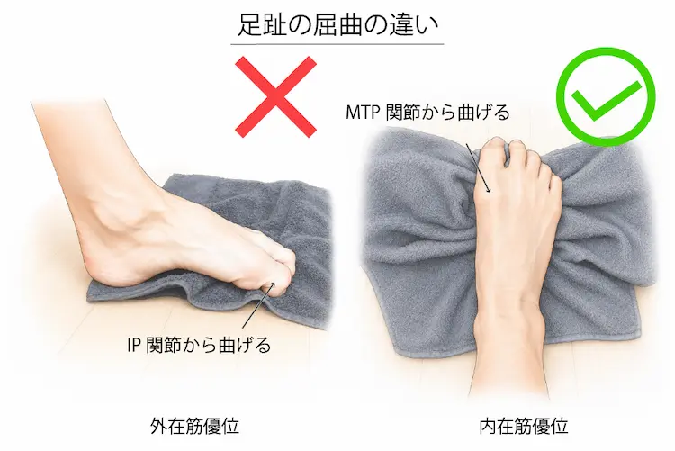 足趾の屈曲の違い