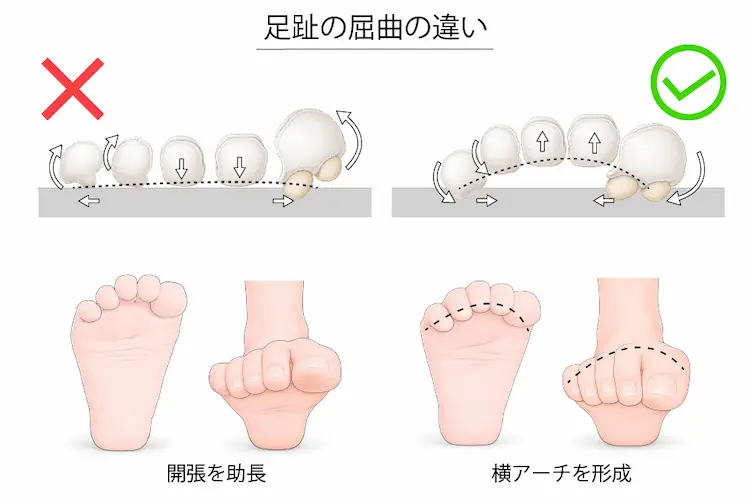 足趾の屈曲の違い２