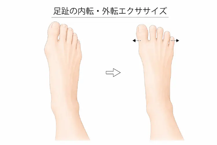 足趾内転・外転エクササイズ