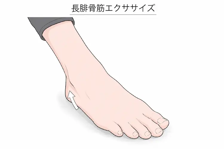 長腓骨筋エクササイズ２
