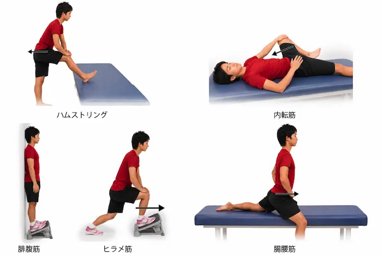 オスグッド病のための下肢のストレッチ