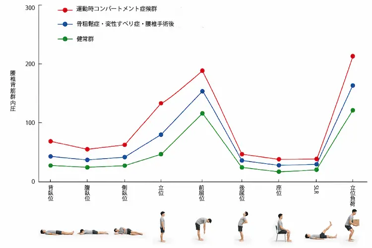 背筋群の筋内圧グラフ