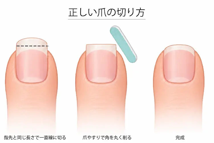 爪を一直線に切ったイラスト角を爪やすりで整えたイラスト爪の正しい切り方の完成図