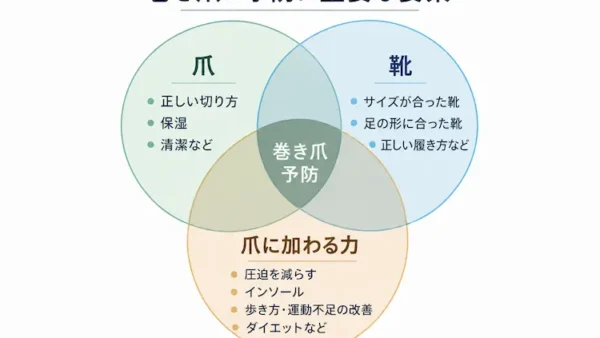 巻き爪の予防法爪切り・靴・歩き方との関係を専門家が解説